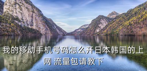 移动有没有国外流量包,移动没有流量了怎么办
