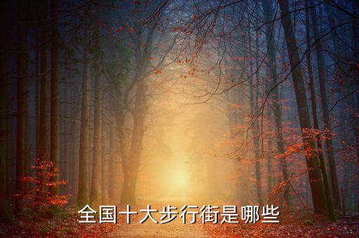 全国十大步行街是哪些