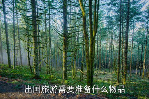 出国旅游需要准备什么物品