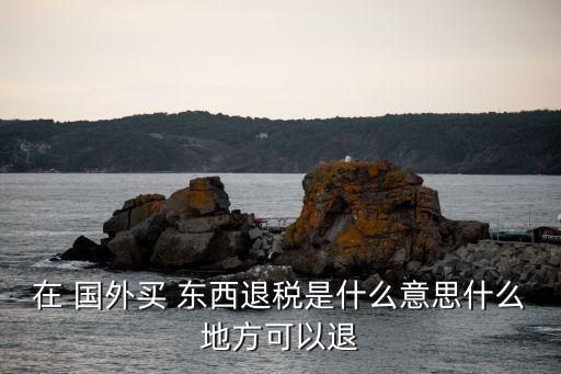 在 国外买 东西退税是什么意思什么地方可以退