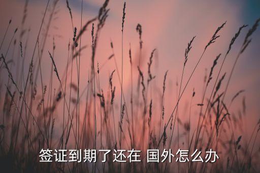 签证到期了还在 国外怎么办