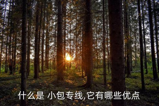 国际流行的园行小包