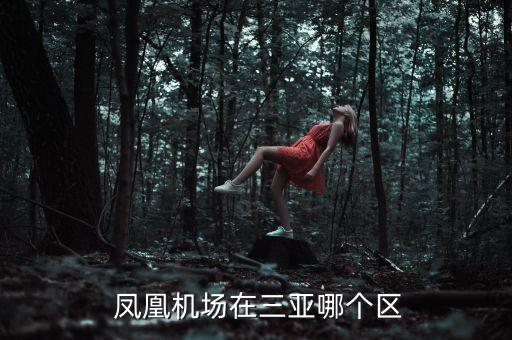  凤凰机场在三亚哪个区