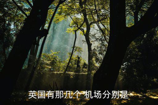 英国有那几个 机场分别是