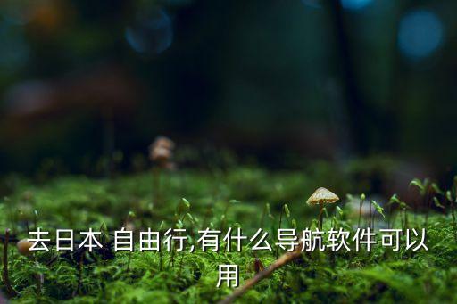 国外自由行用什么地图,去国外自由行需要准备什么