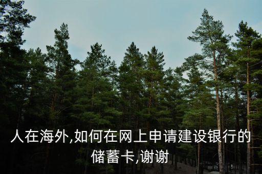 如何在国外办银行卡,去国外办什么银行卡比较好