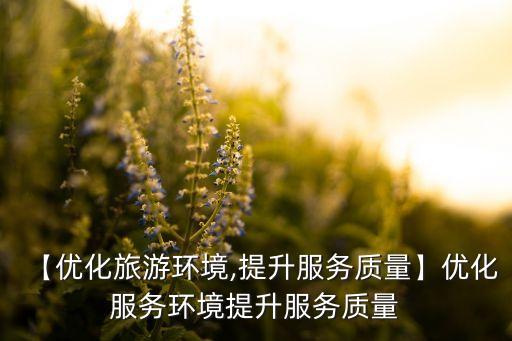 【优化旅游环境,提升服务质量】优化服务环境提升服务质量