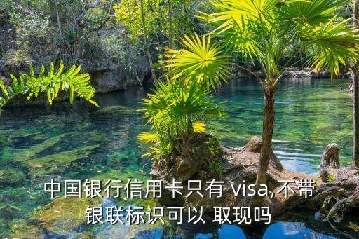 中国银行信用卡只有 visa,不带银联标识可以 取现吗