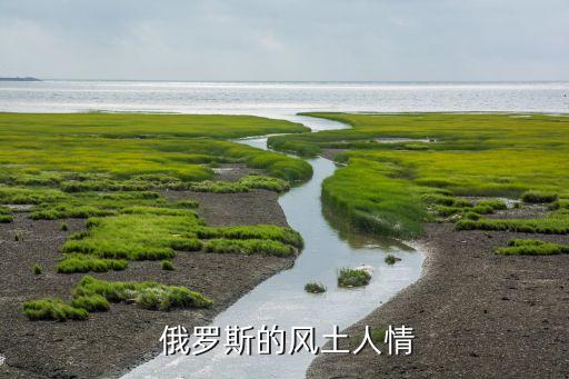 国外俄罗斯13