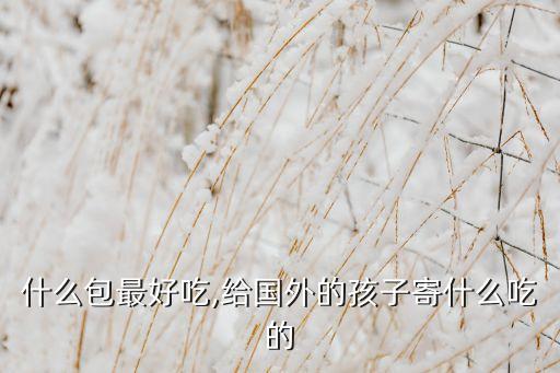 国外什么包最好吃,给国外的孩子寄什么吃的