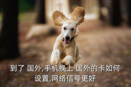 在国外换卡后用的是原卡流量吗