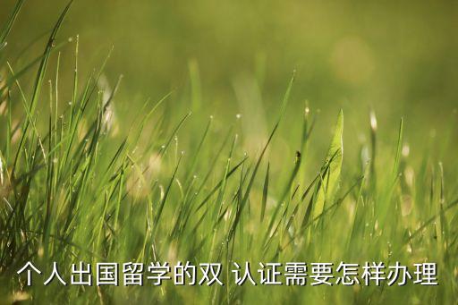个人出国留学的双 认证需要怎样办理