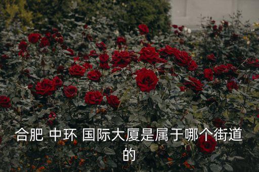 南京中环国际酒店