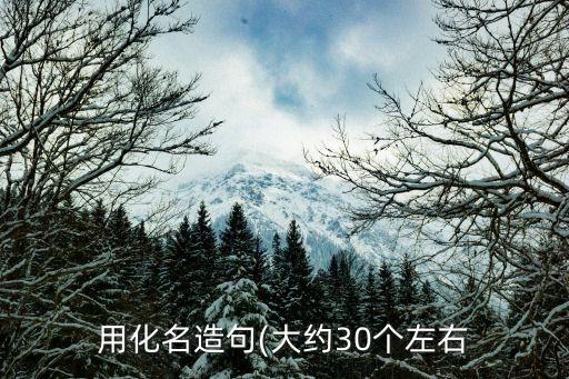 用化名造句(大约30个左右