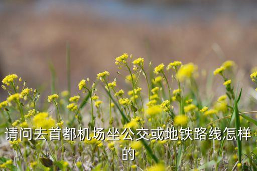请问去首都机场坐公交或地铁路线怎样的