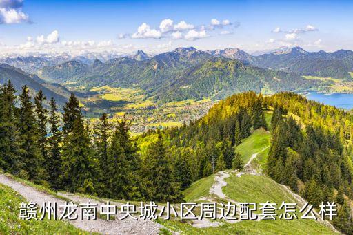  赣州龙南中央城小区周边配套怎么样