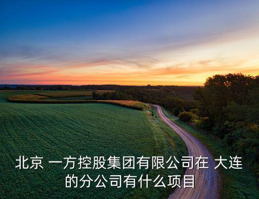 北京 一方控股集团有限公司在 大连的分公司有什么项目