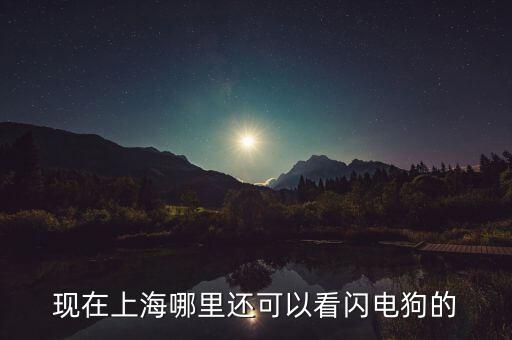现在上海哪里还可以看闪电狗的