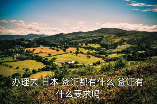 办理去 日本 签证都有什么 签证有什么要求吗