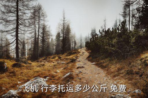 飞机 行李托运多少公斤 免费