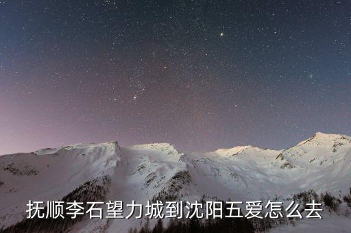 抚顺李石望力城到沈阳五爱怎么去