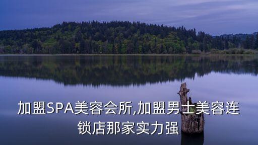 加盟SPA美容会所,加盟男士美容连锁店那家实力强
