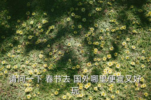 请问一下 春节去 国外哪里便宜又好玩