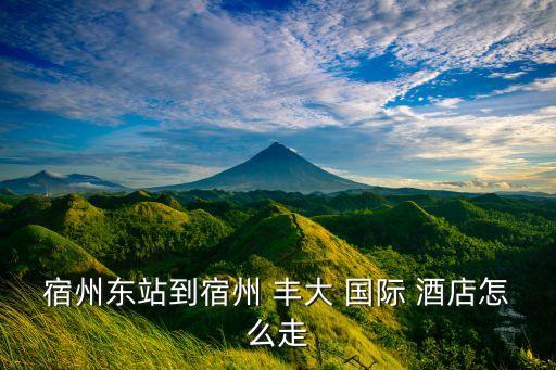 宿州东站到宿州 丰大 国际 酒店怎么走