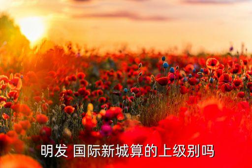  明发 国际新城算的上级别吗