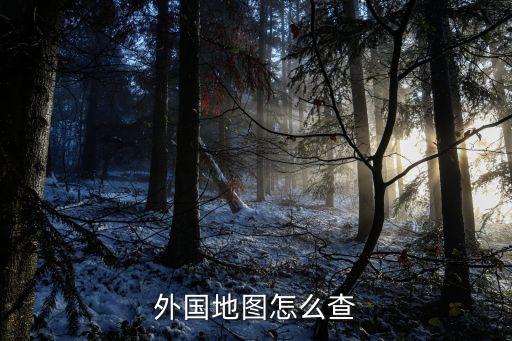 外国地图怎么查