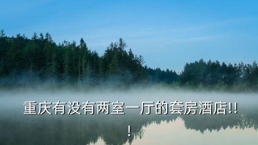 重庆红鼎国际停车收费,重庆国际博览中心好停车吗