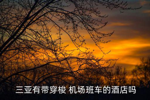  三亚有带穿梭 机场班车的酒店吗