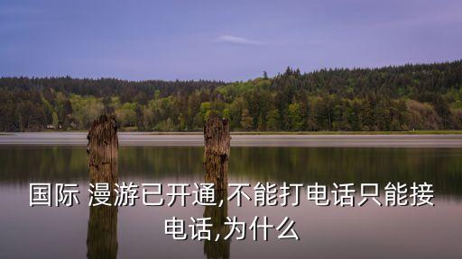 漫游国外打不通,开了漫游在国外无服务