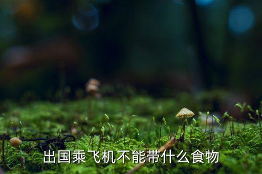 国际航班 植物种子