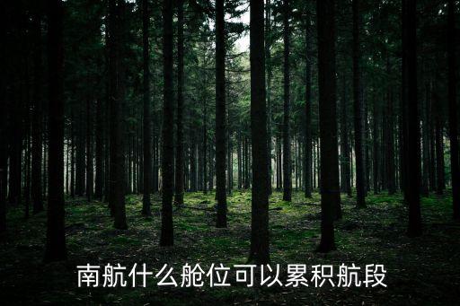 南航国际机票能累计里程吗,南航里程兑换国际机票