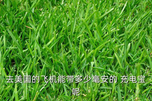 去美国的飞机能带多少毫安的 充电宝呢