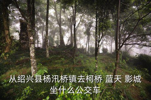 从绍兴县杨汛桥镇去柯桥 蓝天 影城坐什么公交车
