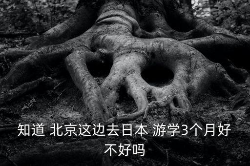 知道 北京这边去日本 游学3个月好不好吗