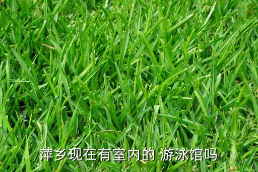 汉阴凤凰国际游泳馆