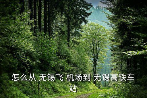 怎么从 无锡飞 机场到 无锡高铁车站