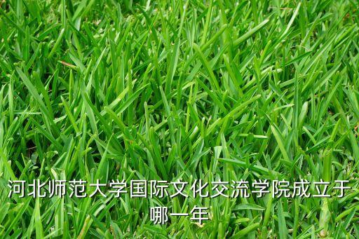 河北师范大学国际文化交流学院成立于哪一年