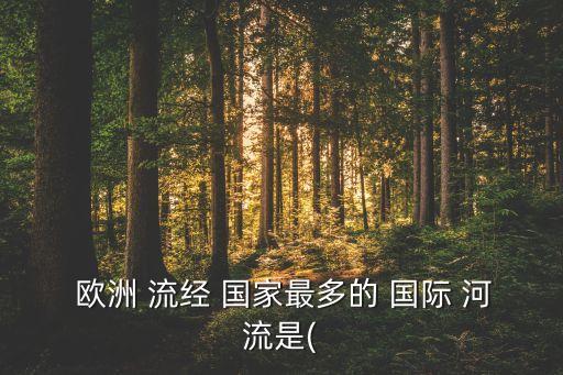  欧洲 流经 国家最多的 国际 河流是(