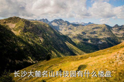  长沙大麓名山科技园有什么楼盘