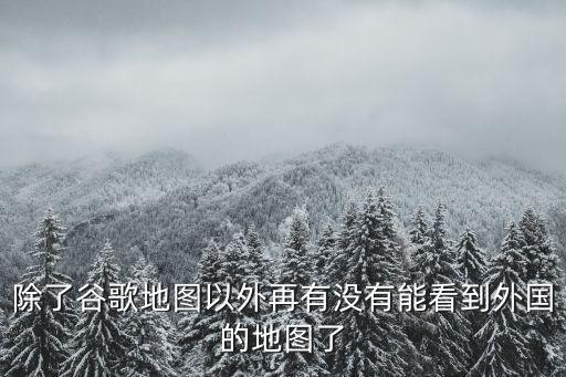 除了谷歌地图以外再有没有能看到外国的地图了