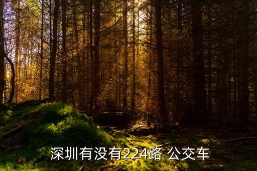  深圳有没有224路 公交车
