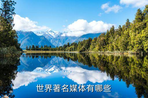 国际 通讯社,国际通讯社记者高文玉