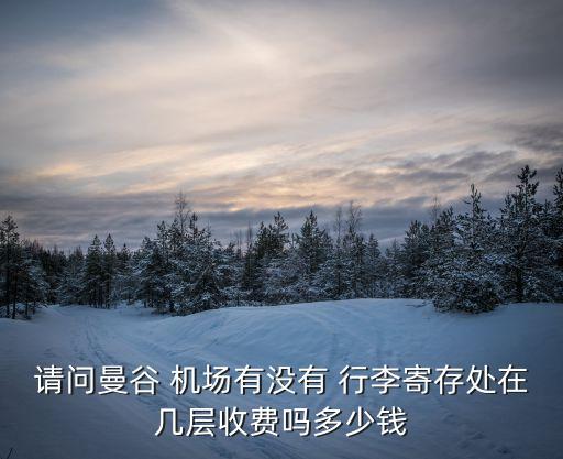 班达拉纳亚克国际机场行李,斯里兰卡班达拉奈克国际机场