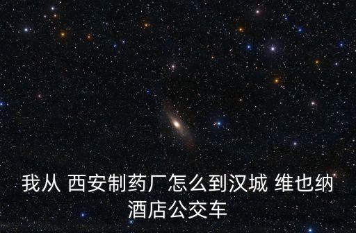 西安维也纳国际