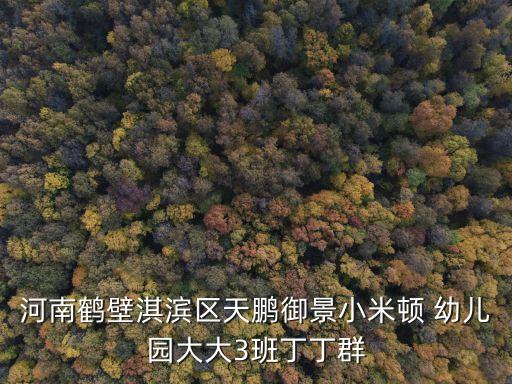 河南鹤壁淇滨区天鹏御景小米顿 幼儿园大大3班丁丁群
