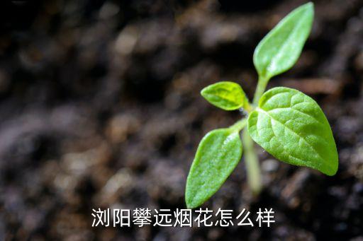 浏阳新城国际地图,浏阳维也纳新城国际店电话
